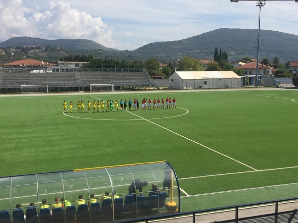 non-filled artificial turf